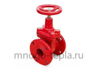 Задвижка Ci 30ч39р (Г) с обрезиненным клином 50 - №1