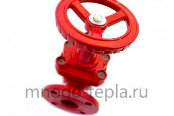 Задвижка Ci 30ч39р (Г) с обрезиненным клином 80 - №1